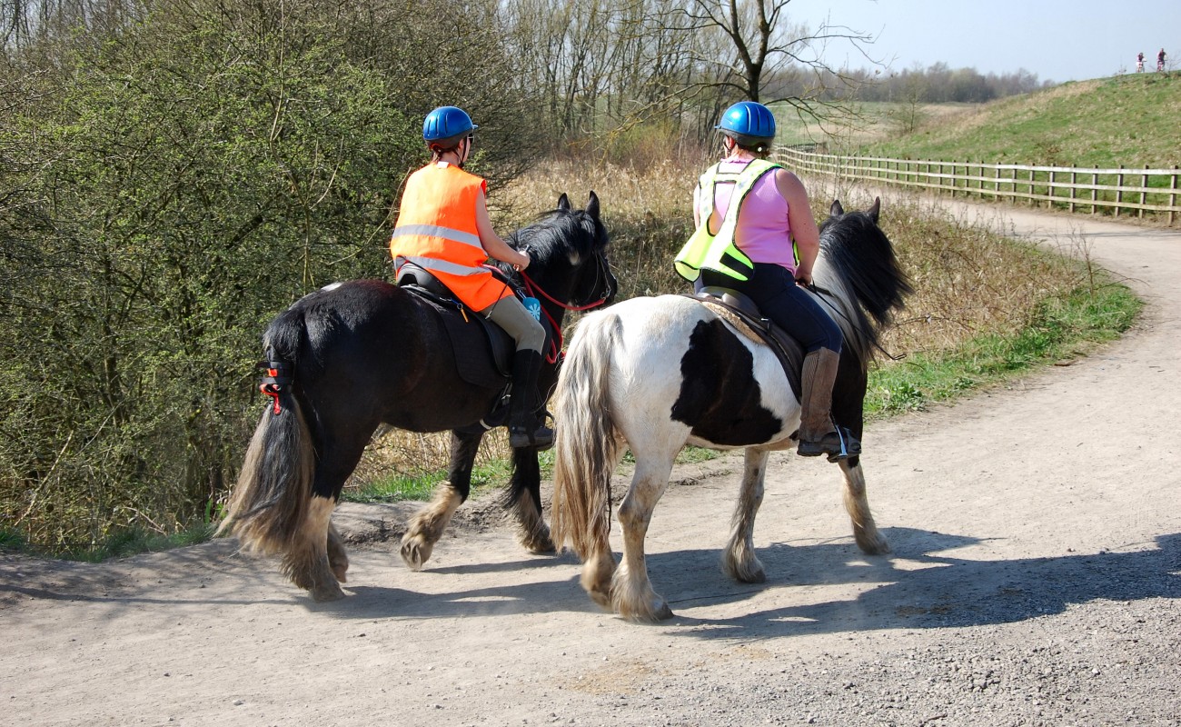 Fearns Equestrian Centre