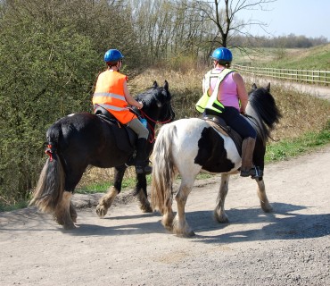 Fearns Equestrian Centre