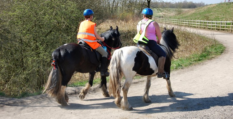 Fearns Equestrian Centre